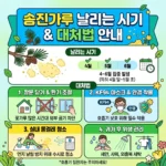 송진가루 날리는 시기 및 송화가루 대처법