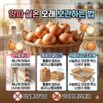 양파 보관법 실온 오래 보관하는 방법