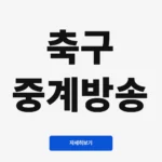 축구 중계방송